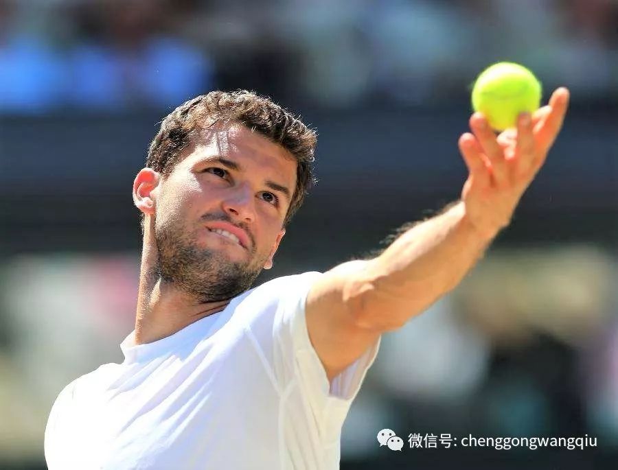 他的状态 他的状态